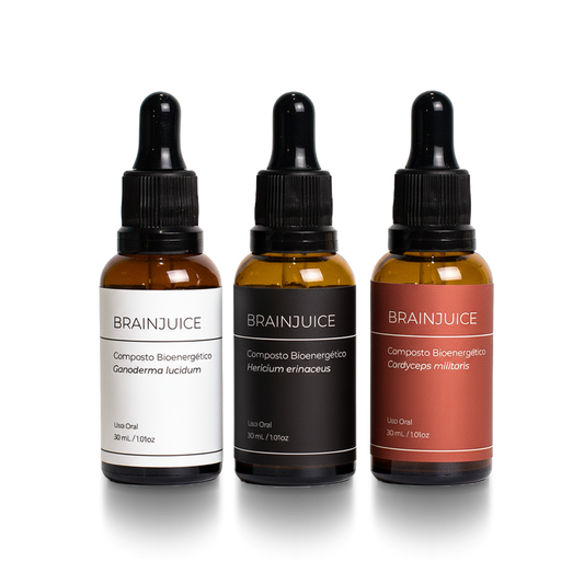 Assets Infra Meteórico BF 2025 (2) sem fundo.png__PID:0263edb6-e36f-4bee-922e-00d3c361bd00