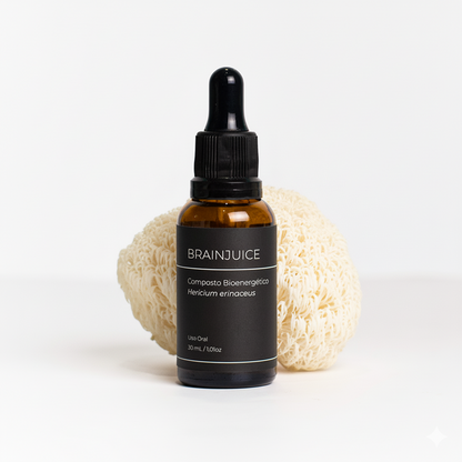 Imagens cogumelos com ingredientes (1).png__PID:1db876fa-d058-4415-9327-c40f320b09f3