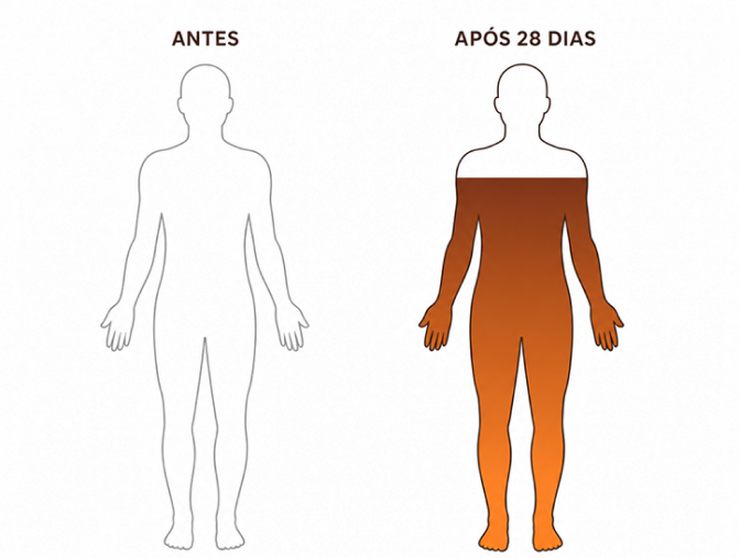 Comparativo antes e após 28 dias: 84% de eficácia percebida nos 10 atributos avaliados